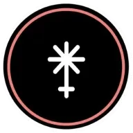 TRX波场链是什么意思